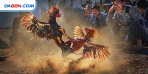 Đá Gà Cựa Sắt - Nghệ Thuật Chọn Gà Và 7 Bí Quyết Thắng Cược