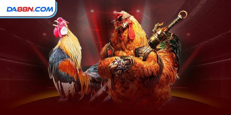 Đá Gà Thomo C3 - Trải Nghiệm Cá Cược Trực Tuyến Đỉnh Cao
