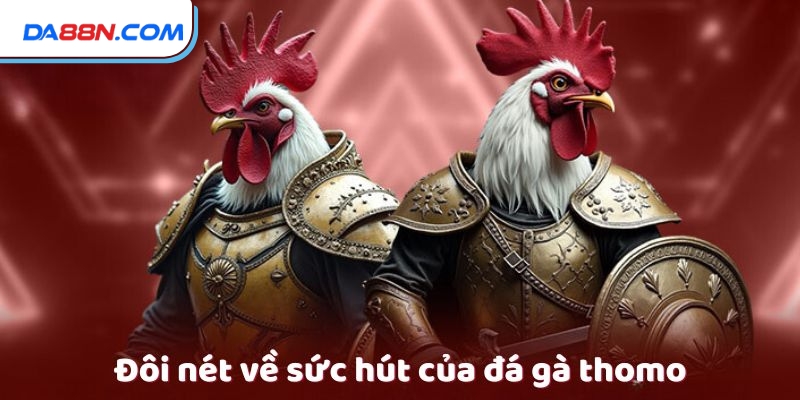 Đá Gà Thomo - Sự Hấp Dẫn Của Những Cuộc Đấu Nảy Lửa 2 Đôi nét về sức hút của đá gà thomo