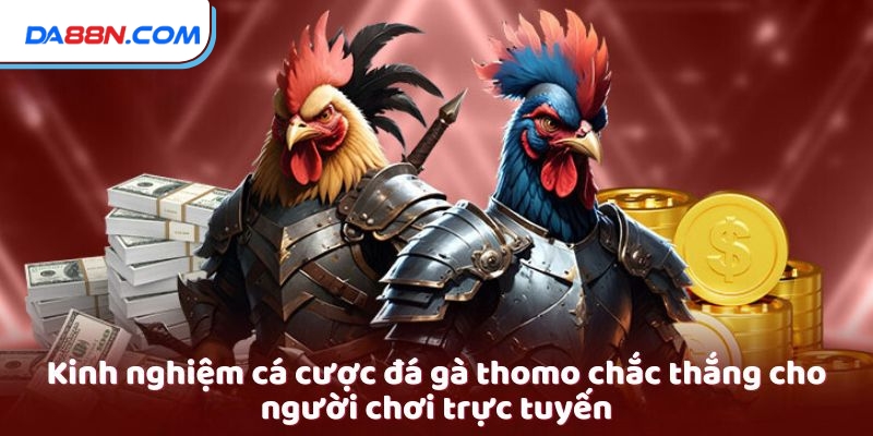 Đá Gà Thomo - Sự Hấp Dẫn Của Những Cuộc Đấu Nảy Lửa 4 Kinh nghiệm cá cược đá gà thomo chắc thắng cho người chơi trực tuyến
