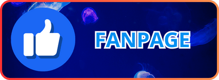 lien he fanpage da88
