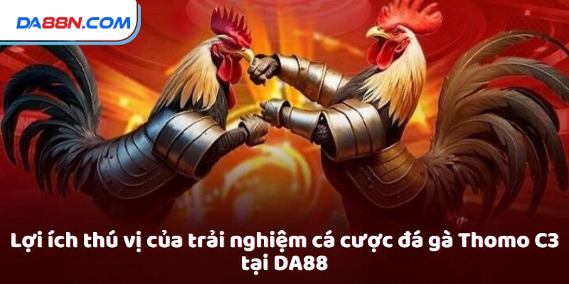 Đá Gà Thomo C3 - Trải Nghiệm Cá Cược Trực Tuyến Đỉnh Cao 4 Lợi ích thú vị của trải nghiệm cá cược đá gà Thomo C3 tại DA88