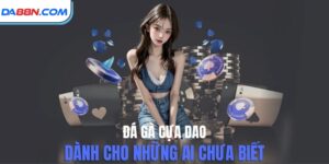 Đá Gà Cựa Dao- Nơi Quy Tụ Những Chiến Kê “Bất Khả Chiến Bại”
