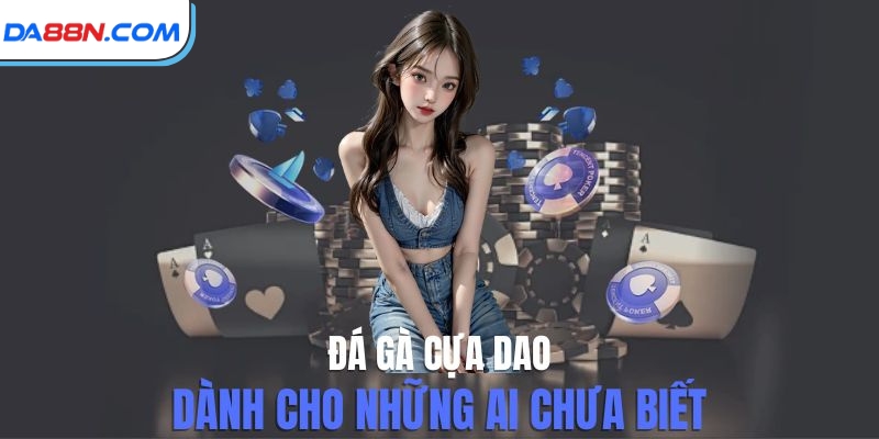 Đá Gà Cựa Dao- Nơi Quy Tụ Những Chiến Kê “Bất Khả Chiến Bại”