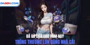 Đá Gà Cựa Dao Hôm Nay - Sân Chơi Đẳng Cấp Nhiều Chiến Kê Giỏi