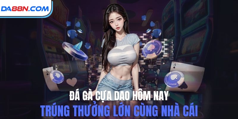 Đá Gà Cựa Dao Hôm Nay - Sân Chơi Đẳng Cấp Nhiều Chiến Kê Giỏi 2 Đá Gà Cựa Dao Hôm Nay - Sân Chơi Đẳng Cấp Nhiều Chiến Kê Giỏi