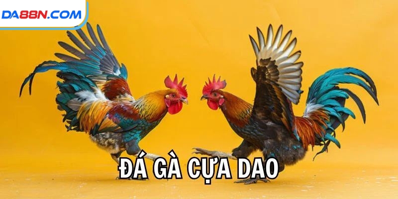 Đá Gà Cựa Dao- Nơi Quy Tụ Những Chiến Kê “Bất Khả Chiến Bại” 4 Những loại gà đá cựa dao